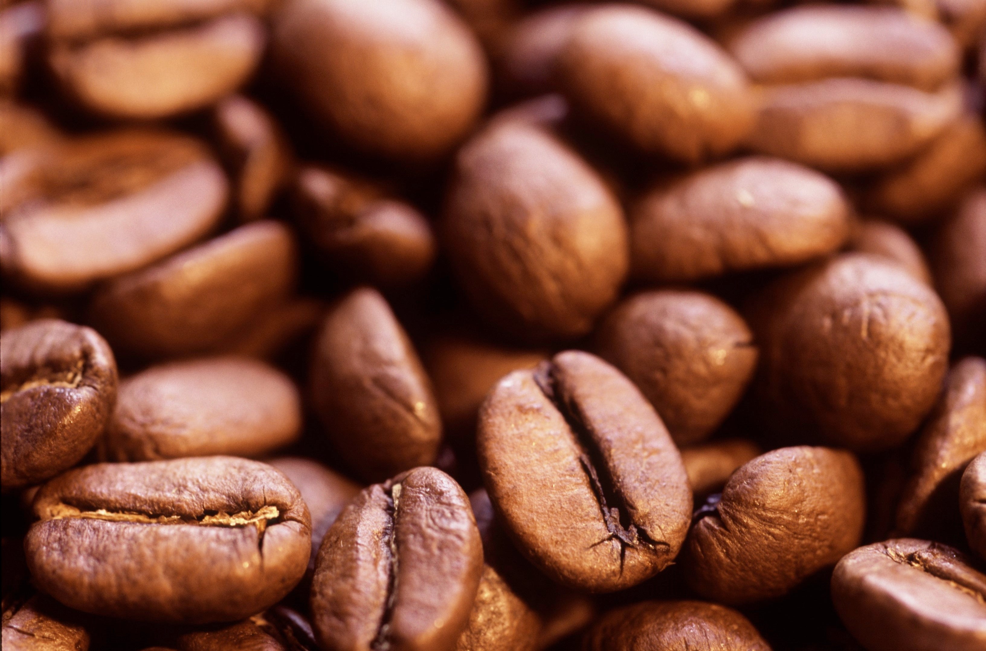 Premium Coffee from Premium Suppliers