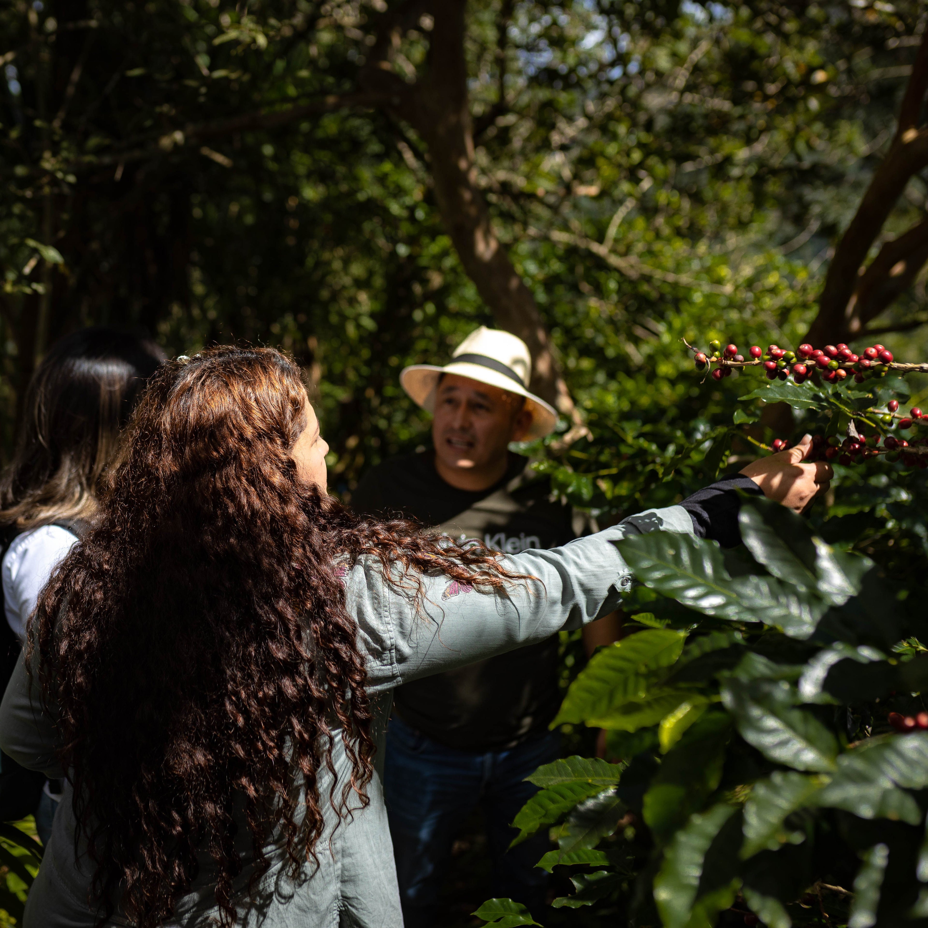 Honduran Espresso Blend – Medium-Dark Roast Specialty Coffee